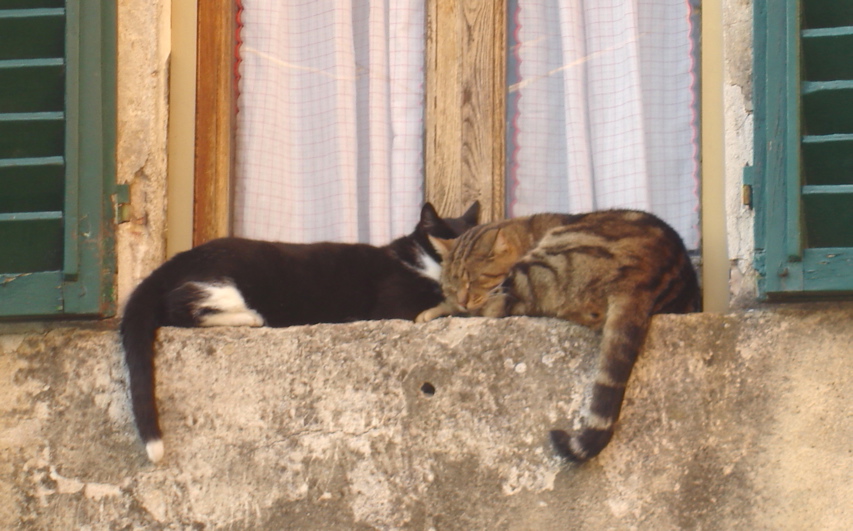 DSC02735.JPG