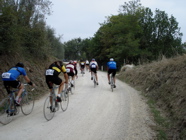 DSC02915.JPG