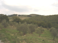 DSC02772.JPG